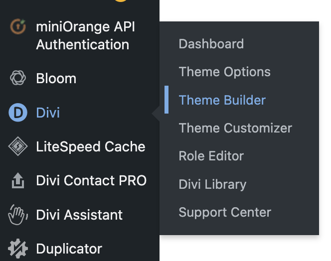 Love DIVi theme builder
