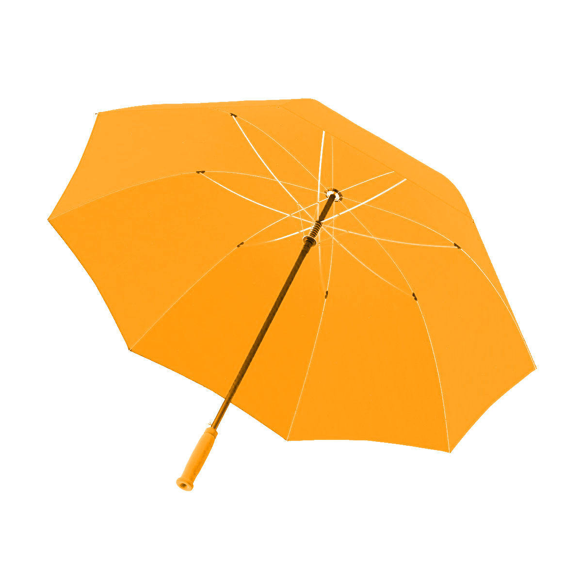 todays reality of an SEO expert