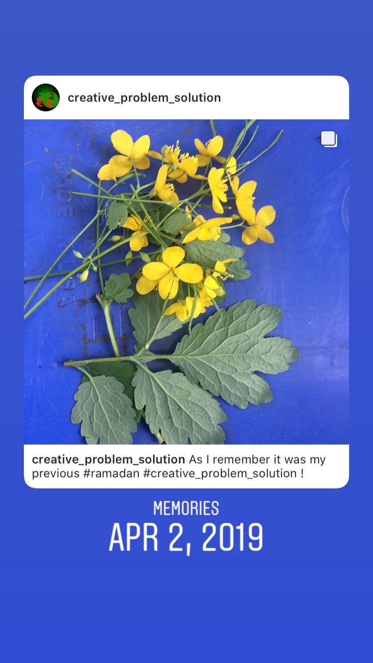 My Ramadan portfolio