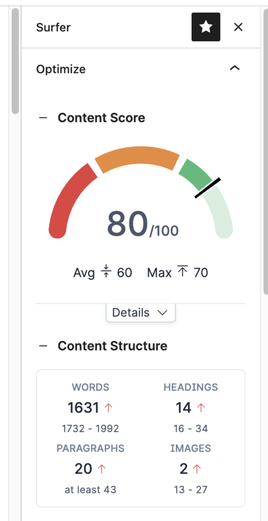 Surfers SEO strategy