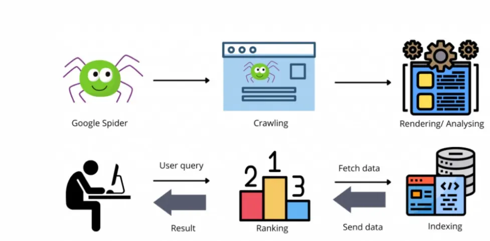 Crawlability: Helping Search Engines Read Your Site